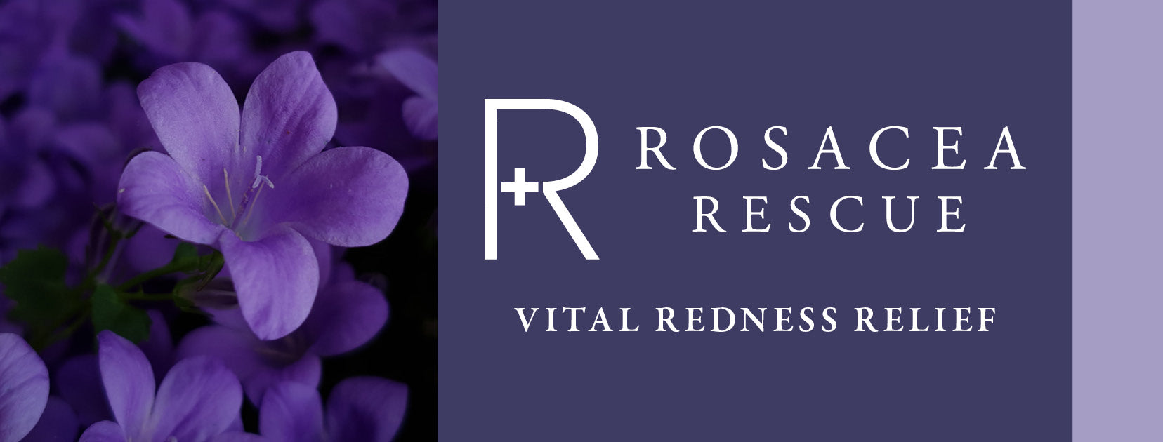 Rosacea Rescue - Building & Strengthening