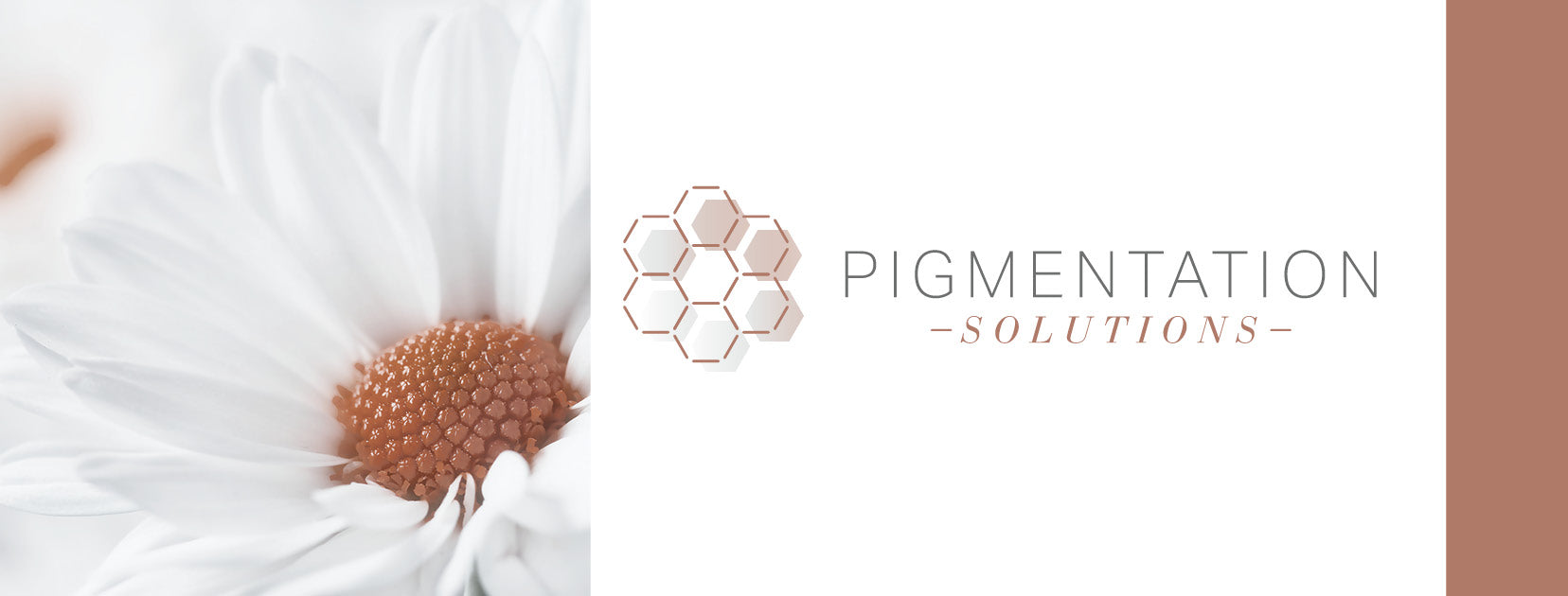 Pigmentation Solutions - Systems/Collections