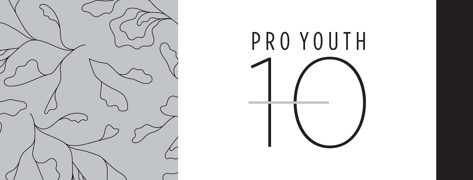 Pro Youth -10 Systems/Collections