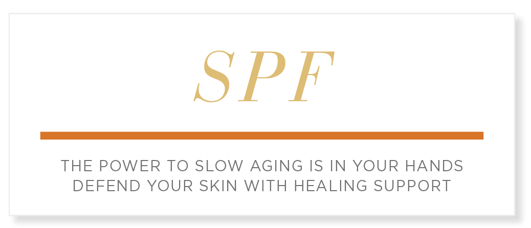 Concept Category Shelf Talker Sets - Inserts Only