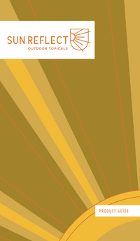 25pk Concept Brochures